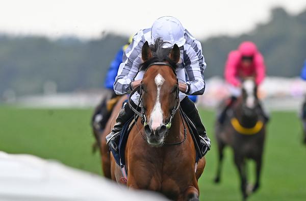 Broome - Hardwicke S. 2022