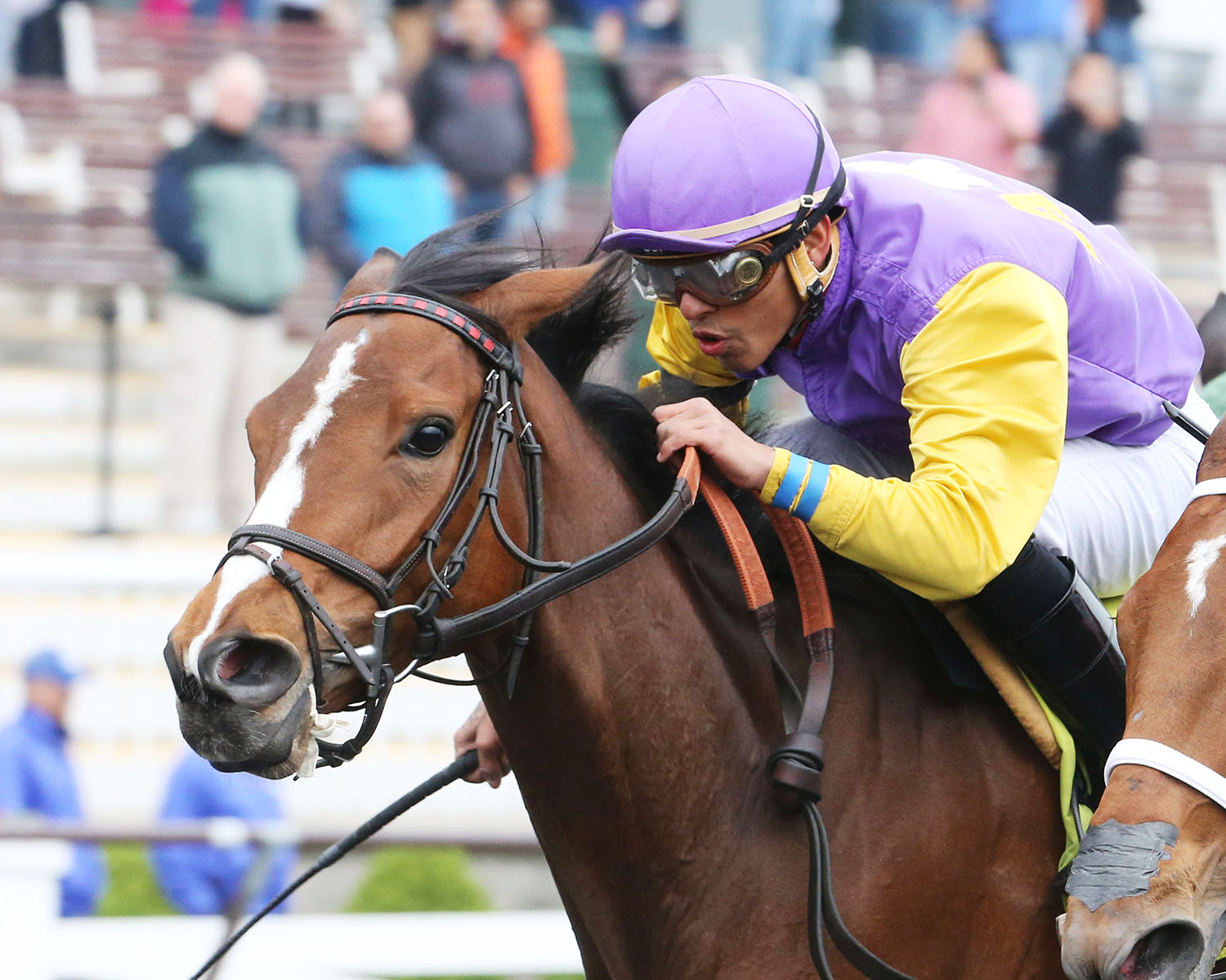 Harry Hernandez guides Brown Eyed Blues to victory in a May 12 allowance