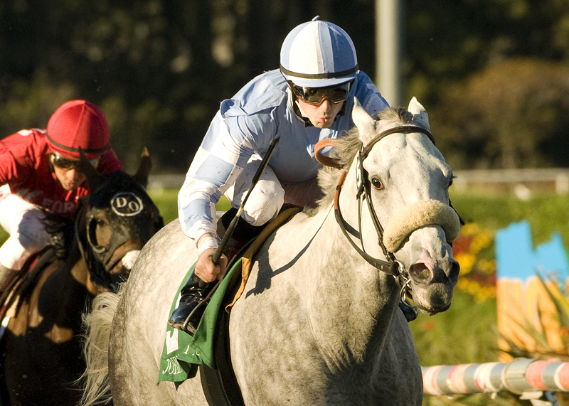 Bruce's Dream/California Cup