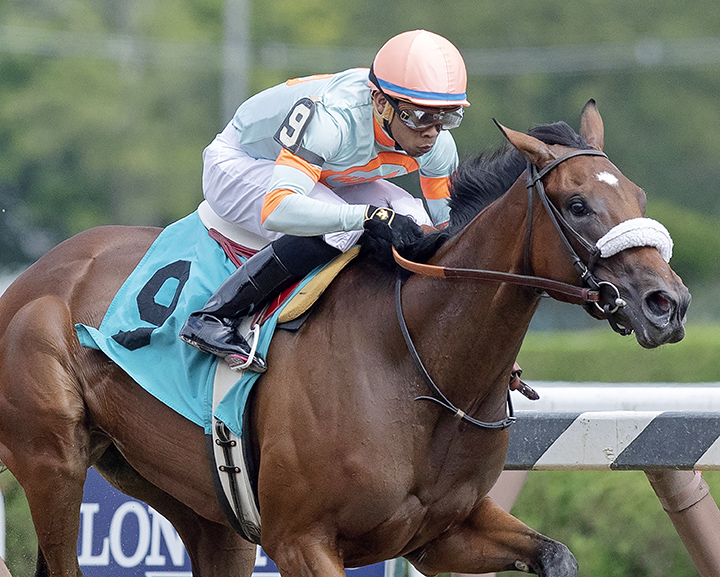 Brucia La Terra wins an Aug. 12 maiden race