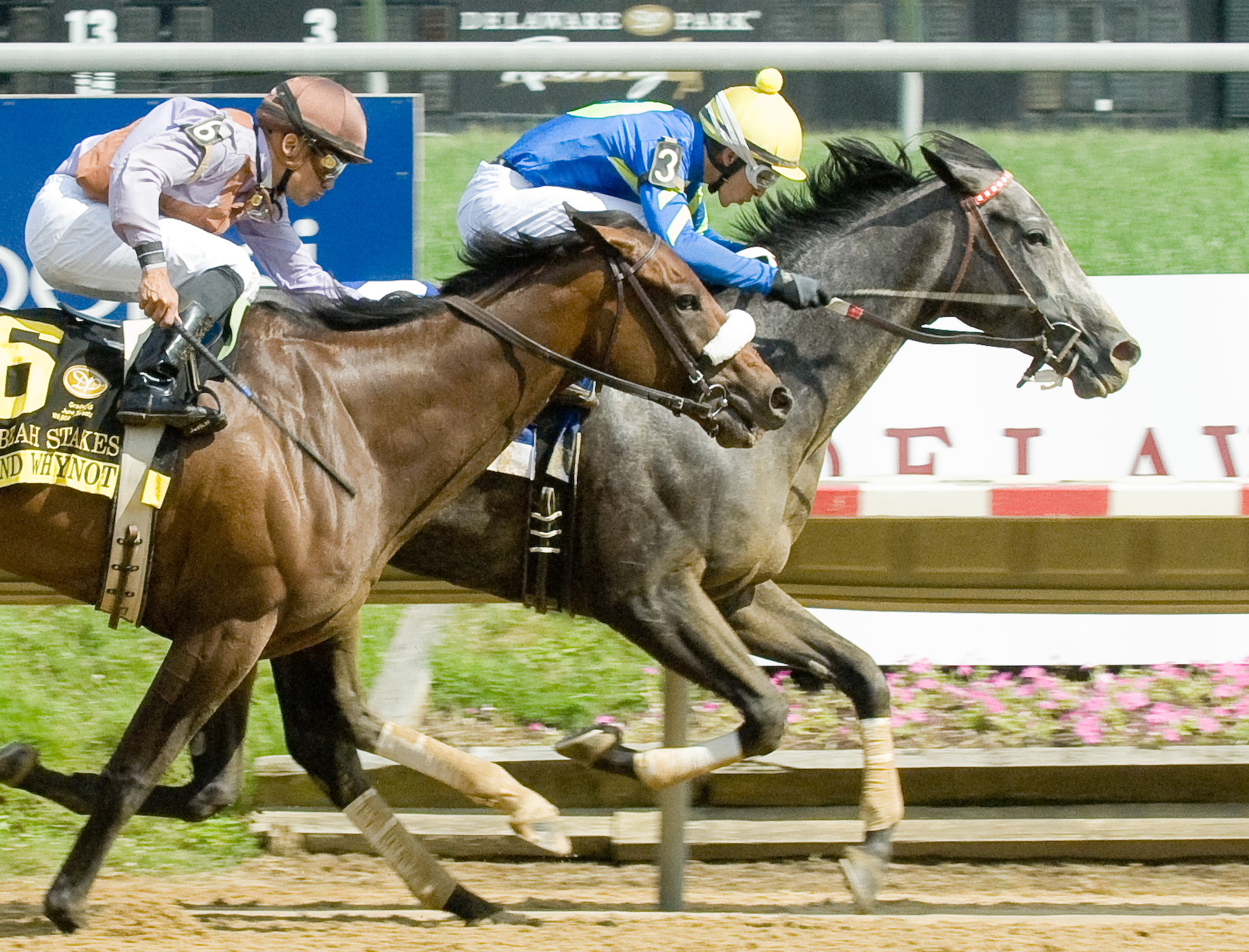 Bryan's Jewel, Obeah Stakes