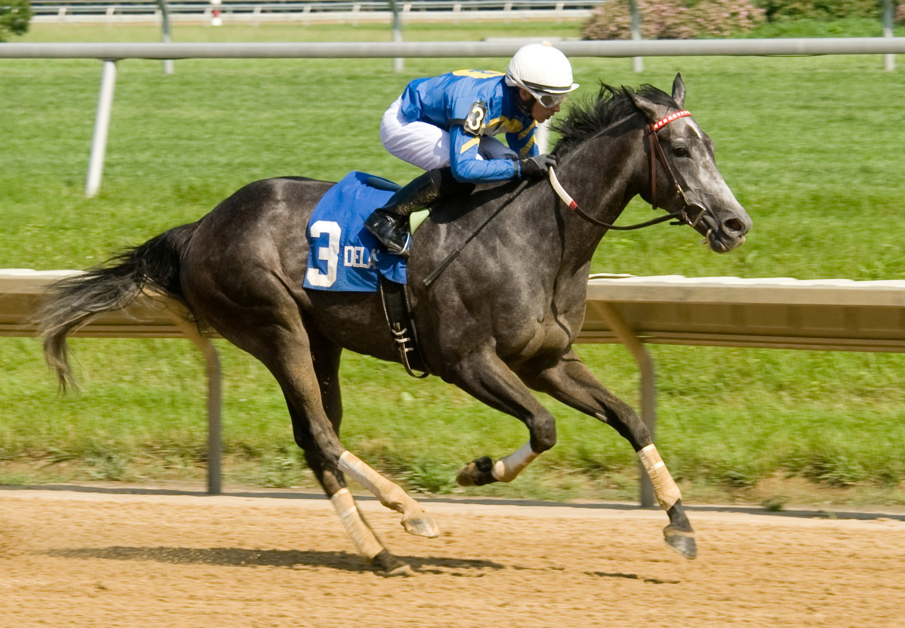 Dick Jerardi: Parx-based Evening Show shows signs of becoming special filly