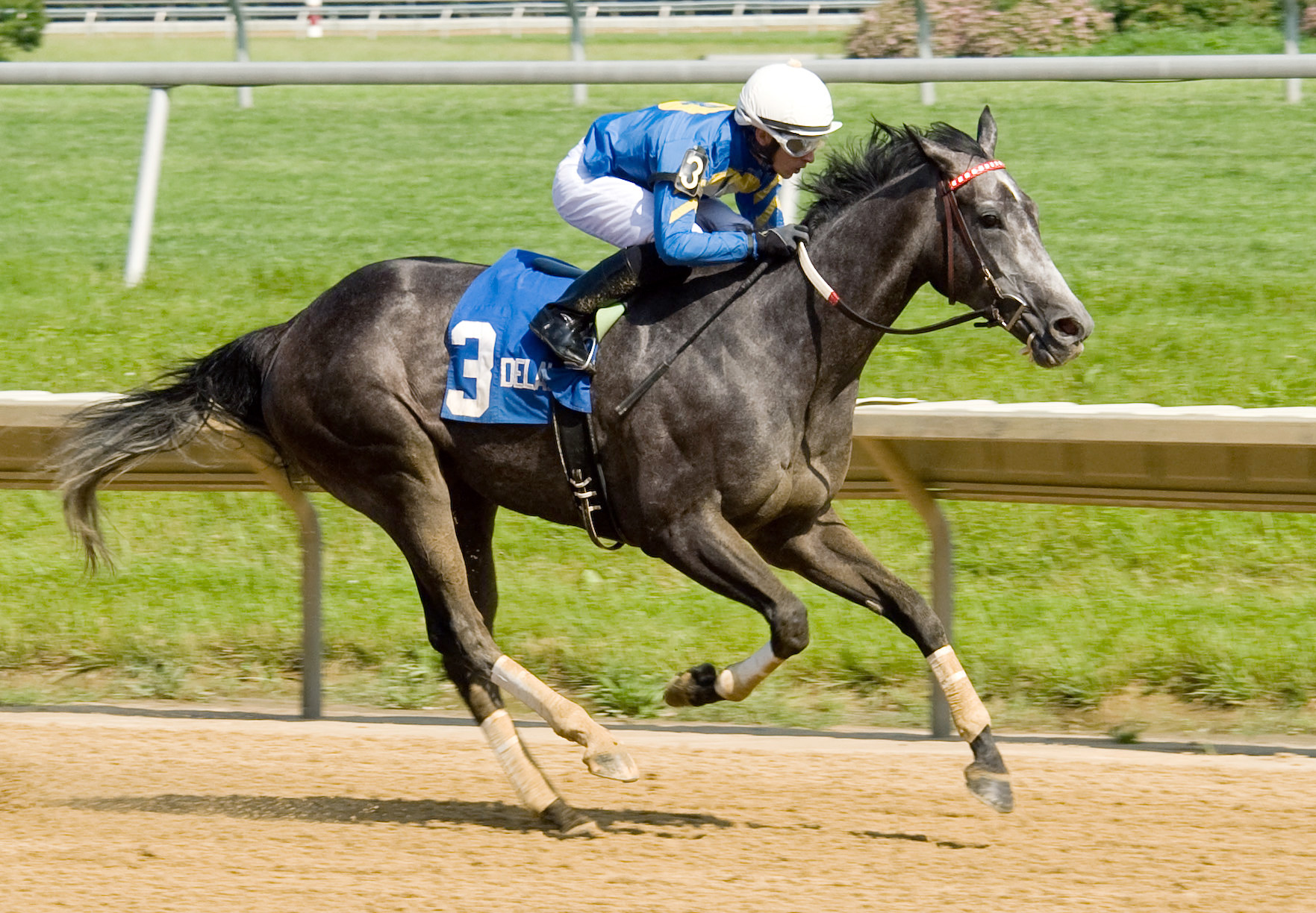 Bryan's Jewel wins the 2013 John Rooney Memorial