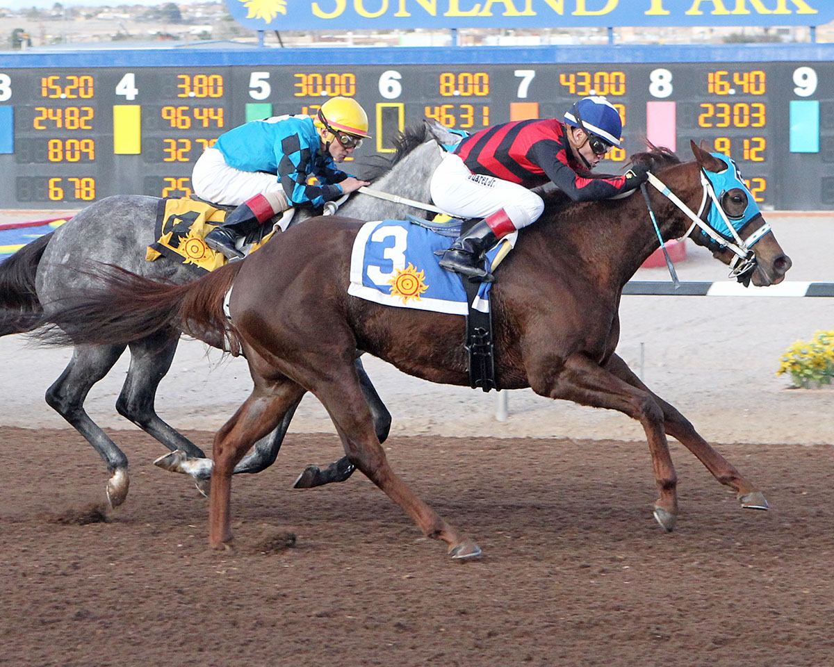 Bryn-s Fancy Pants wins the 2016 New Mexico State Racing Commission Handicap