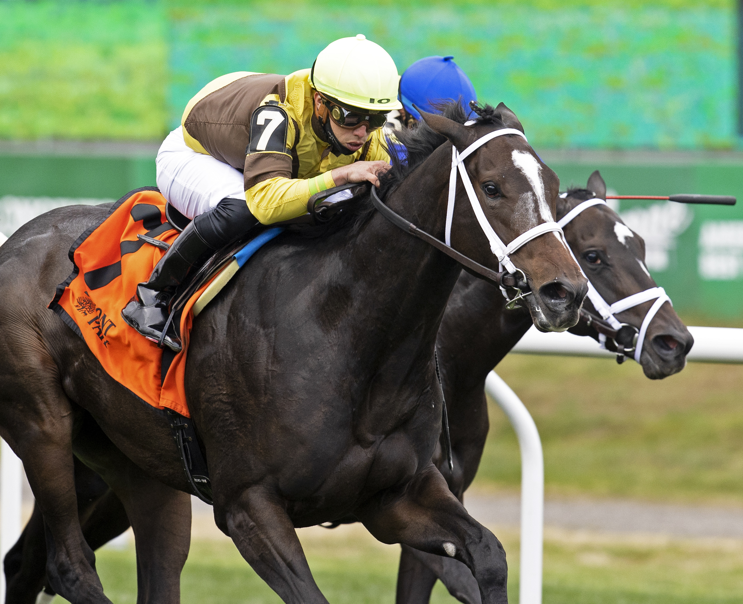 Bubble Rock wins Matron 10-9-2021