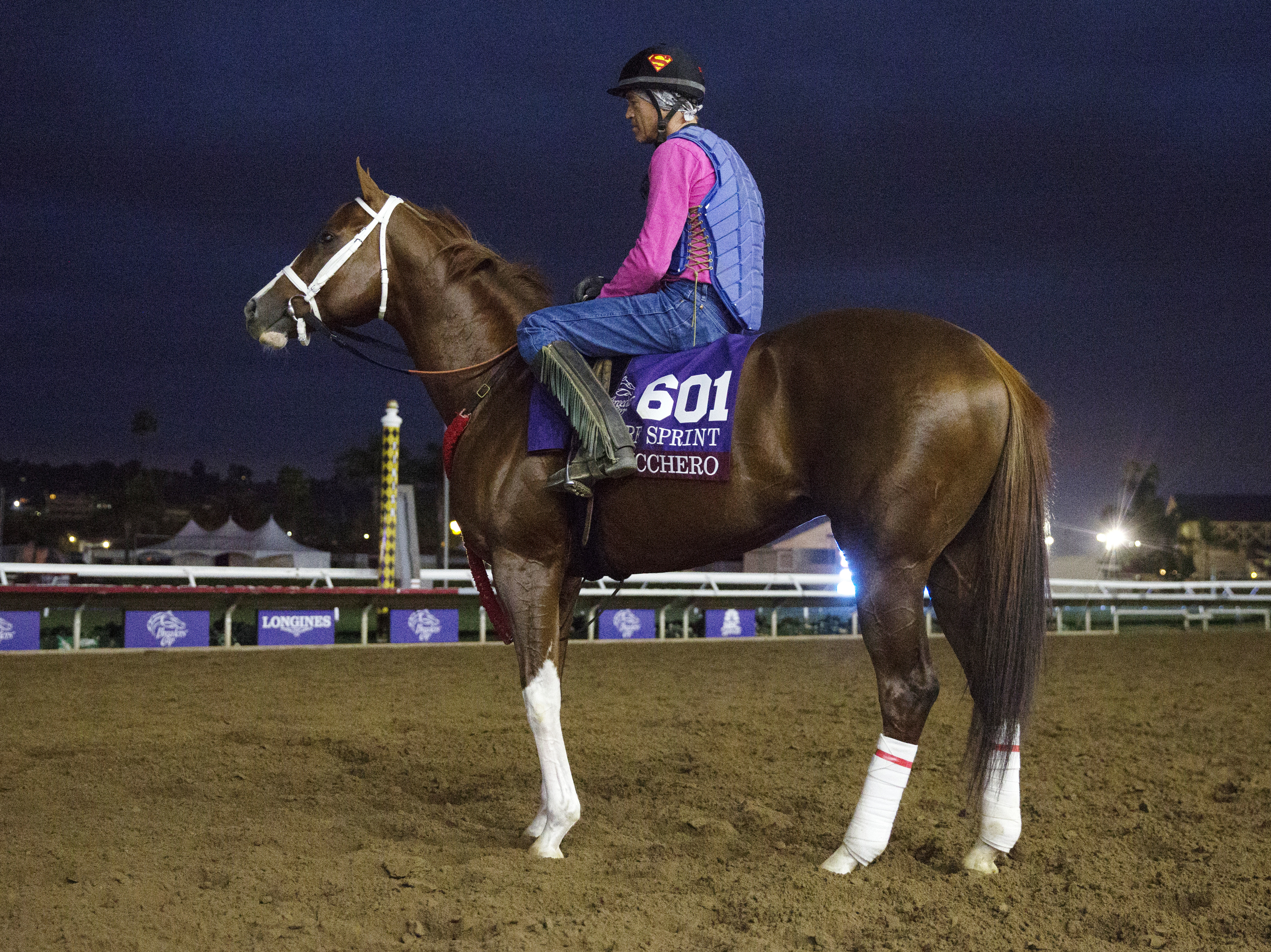 Bucchero at Del Mar on Oct. 30
