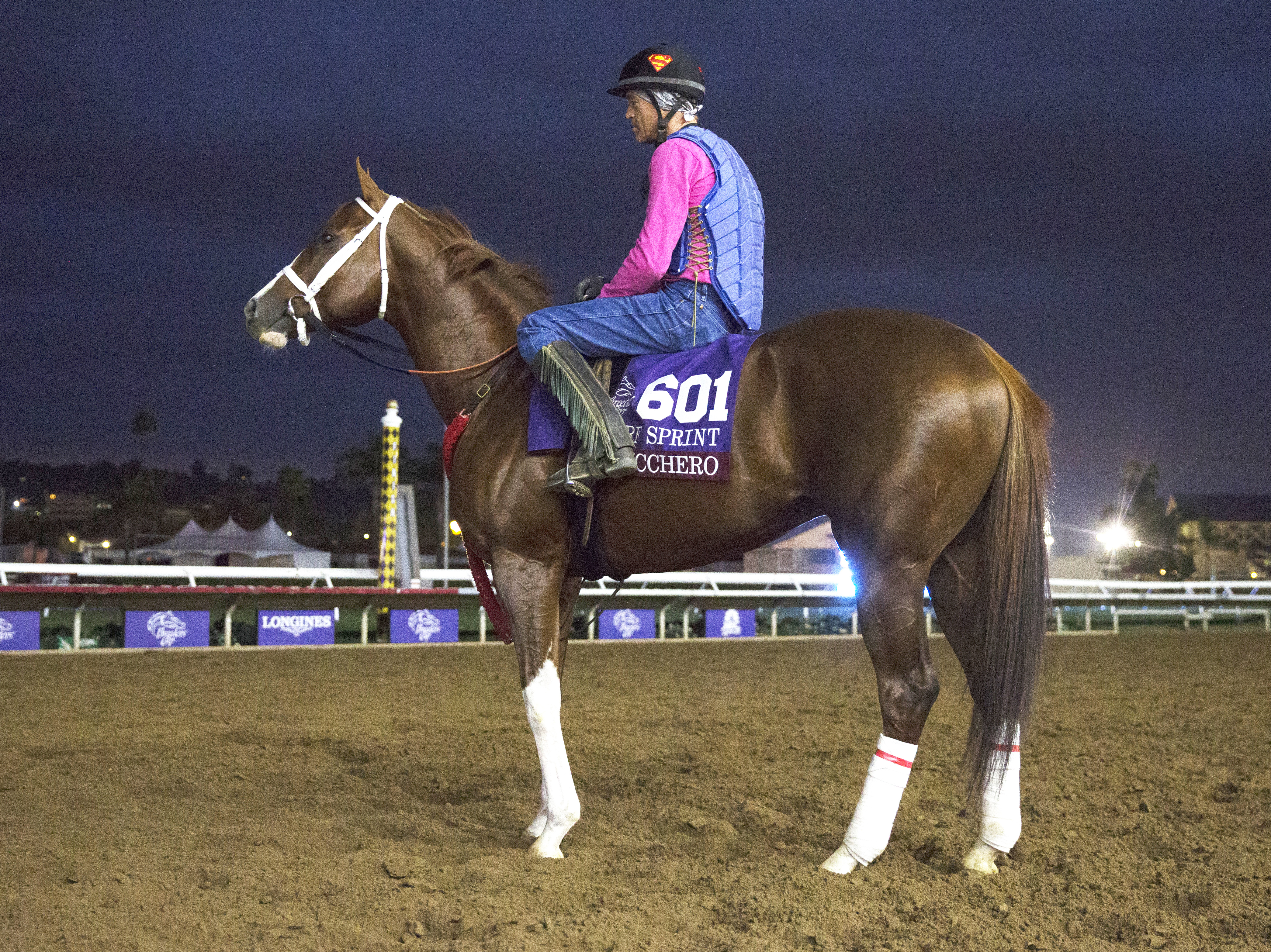 Bucchero at Del Mar on Oct. 30