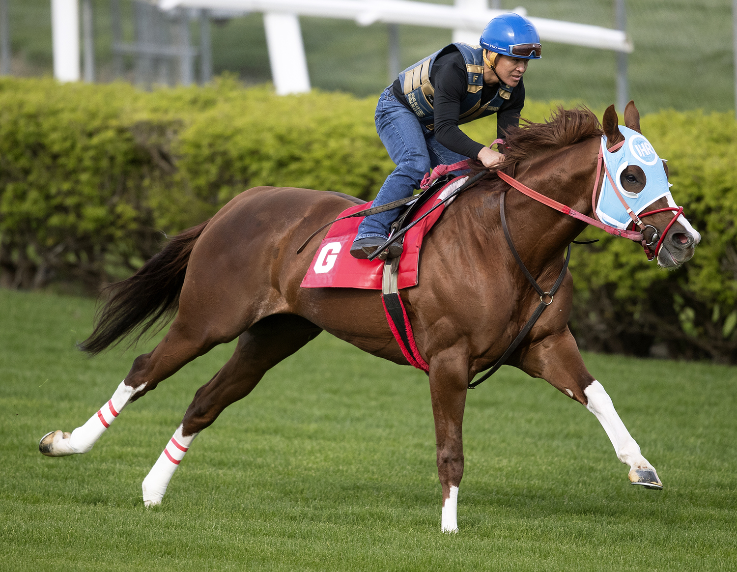 Bucchero trains at Churchill on April 22