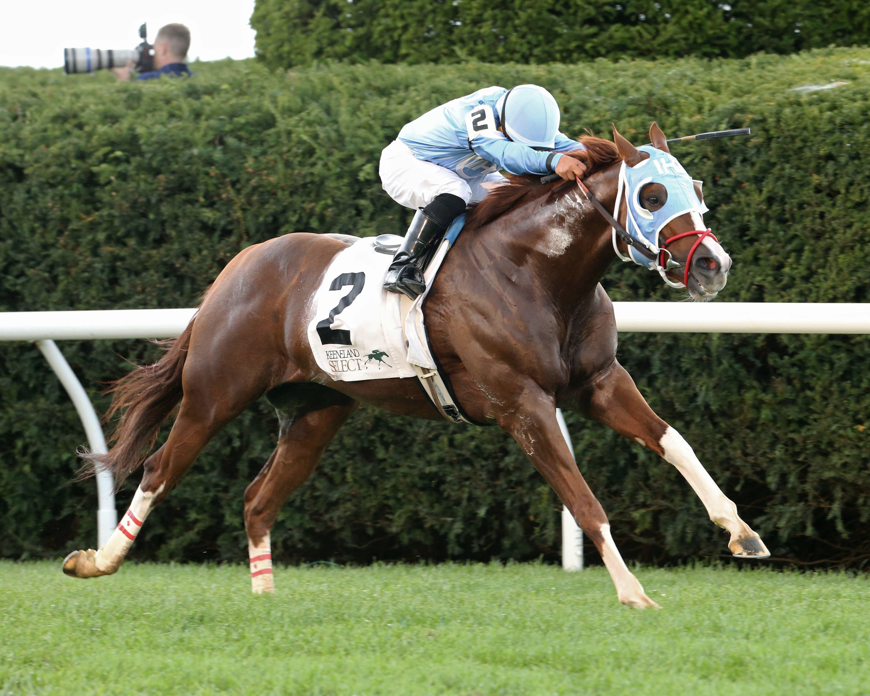 Bucchero wins the 2017 Woodford Stakes