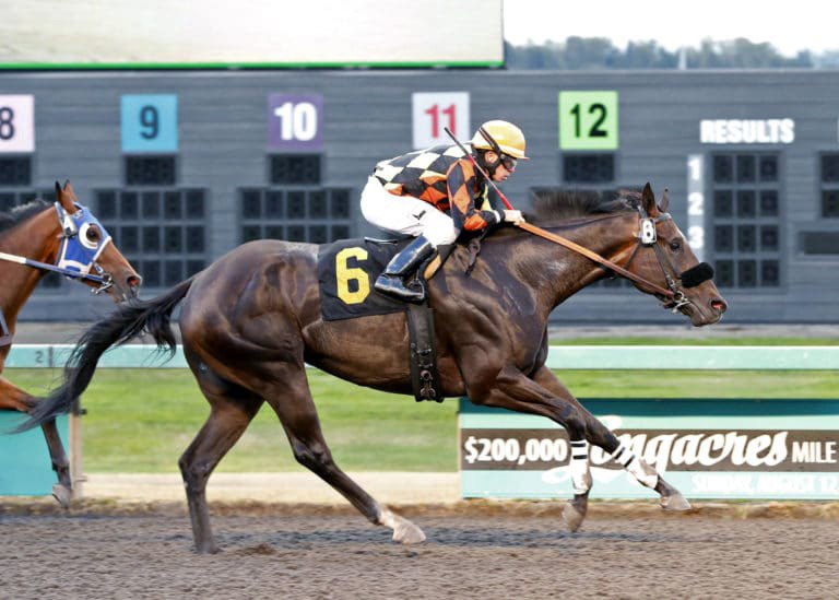 Buckley Bay wins a June 2018 claiming race at Emerald Downs