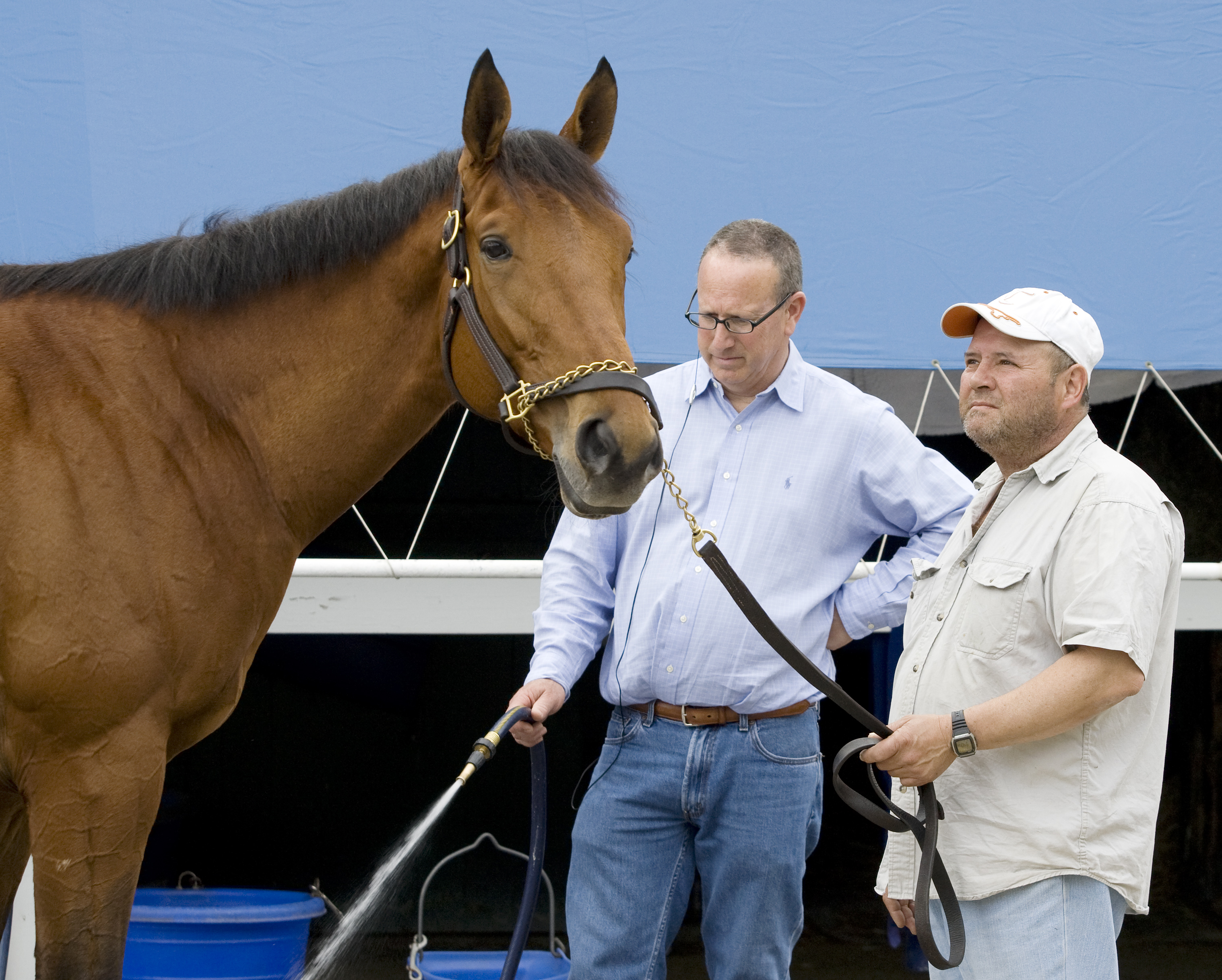 Buddy's Saint 2-2010