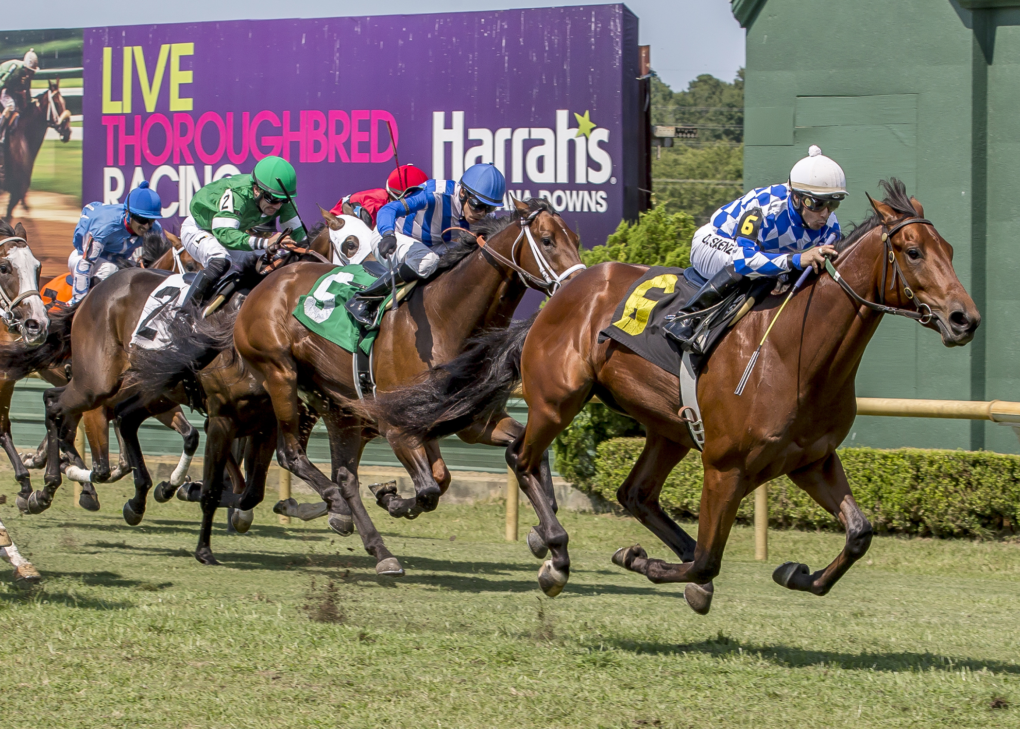 Budro Talking wins the 2017 Sunday Silence Stakes