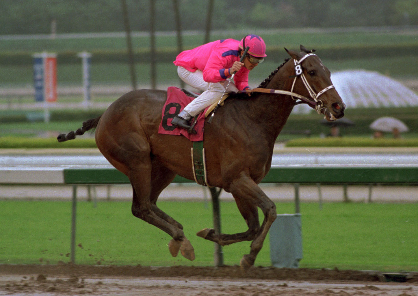Budroyale/1998 San Bernardino Handicap