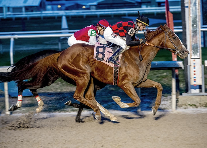 Buggin Out wins the 2018 Magic City Classic at Fair Grounds Race Course