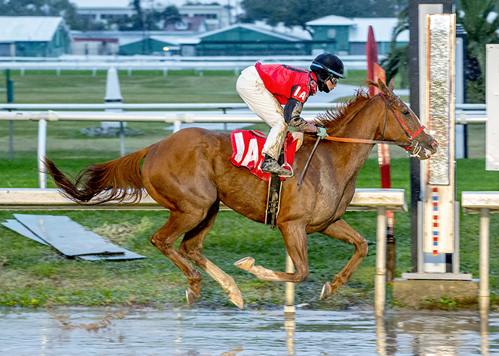 Buggin Out wins the 2017 Magic City Classic