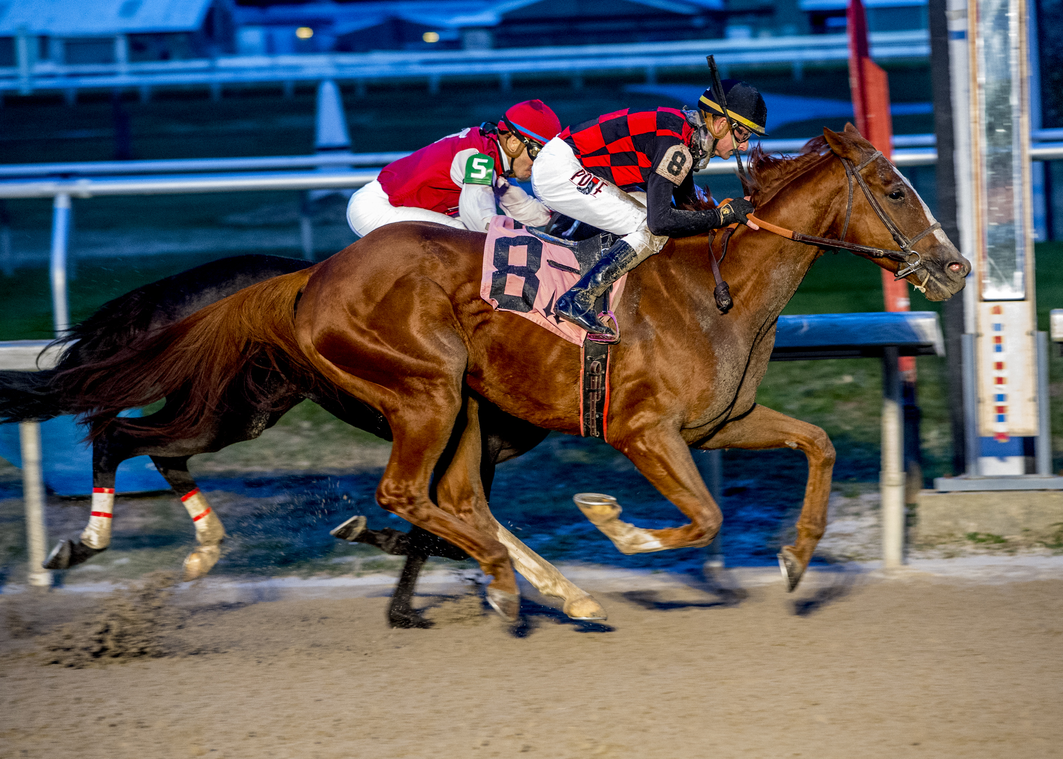 Buggin Out wins the 2018 Magic City Classic