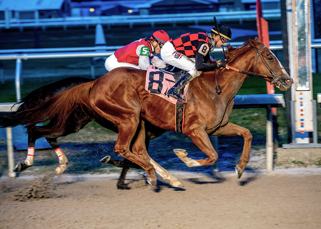 Buggin Out wins the 2018 Magic City Classic at Fair Grounds Race Course