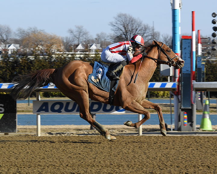Build to Suit wins a Jan. 26 allowance race at Aqueduct Racetrack