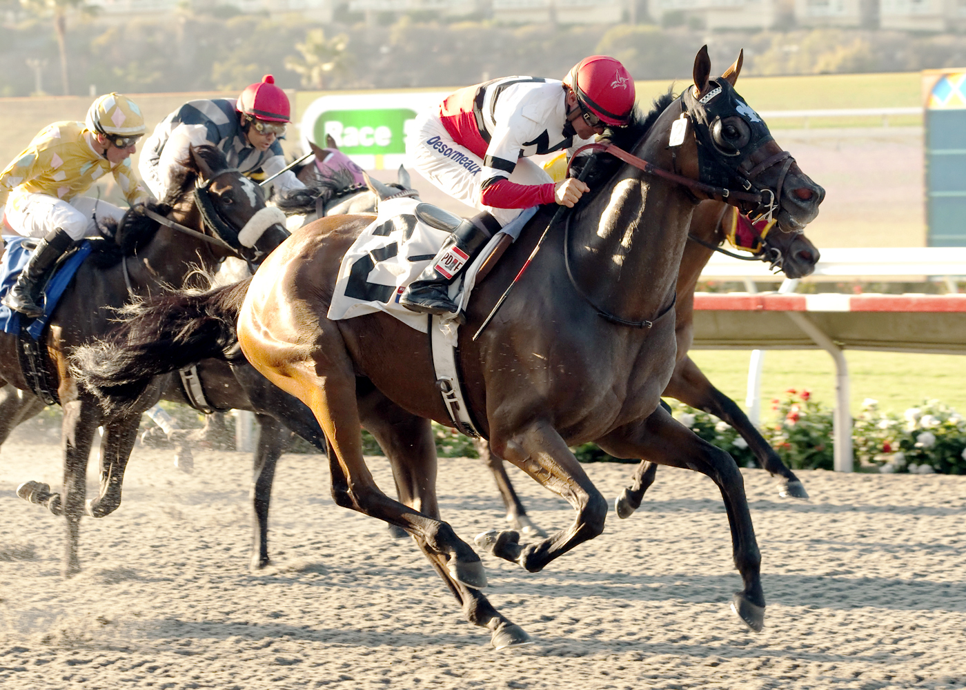 Bull Dozer wins an optional claiming race