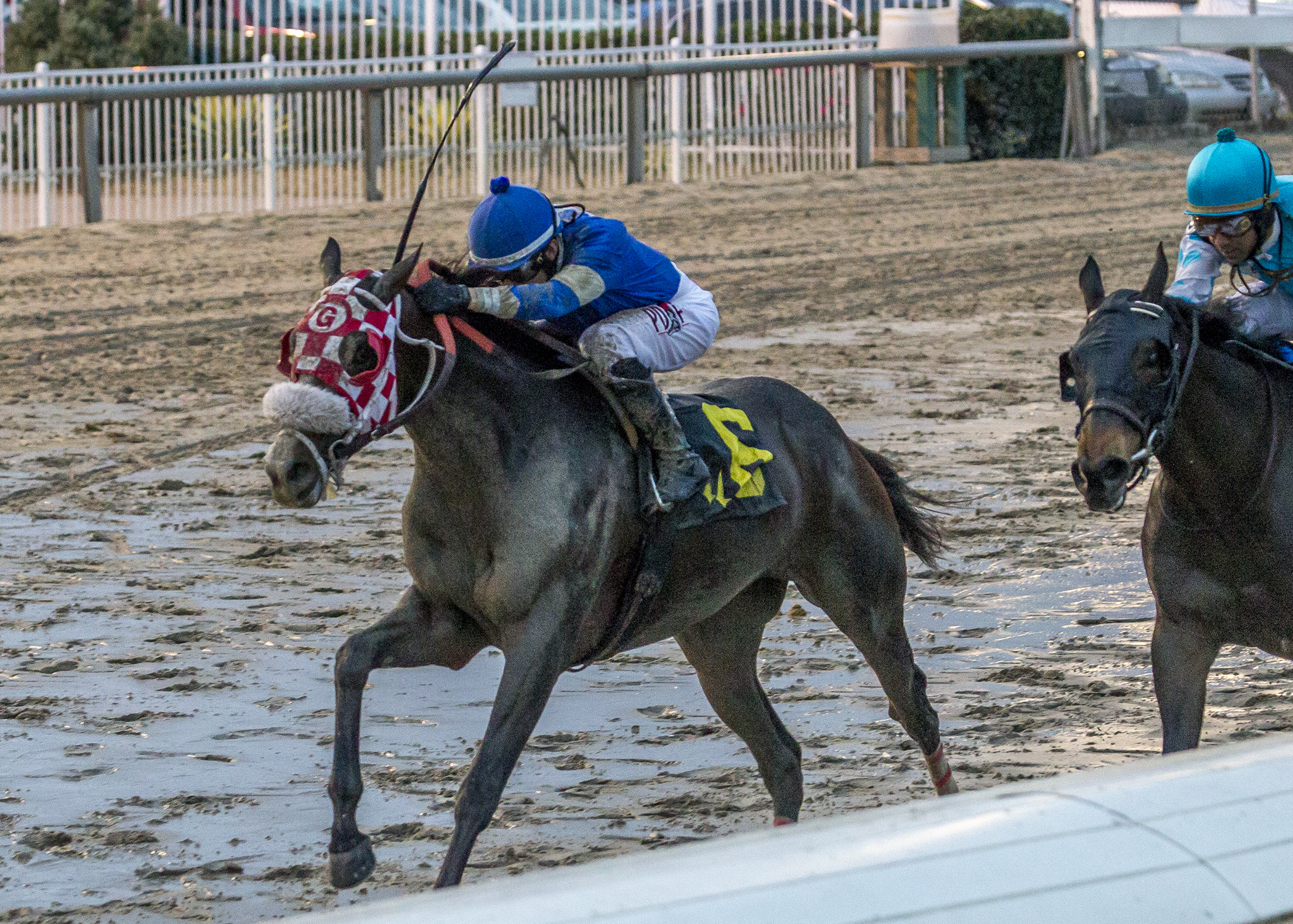 Bullards Alley wins 2015 Woodchopper