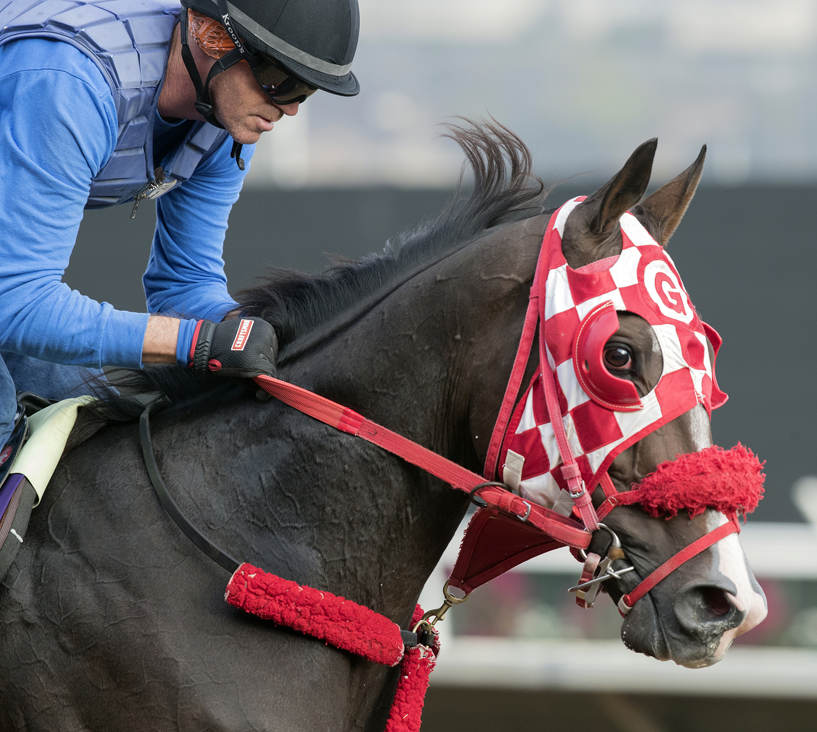 Bullards Alley trains for the Breeders Cup at Del Mar