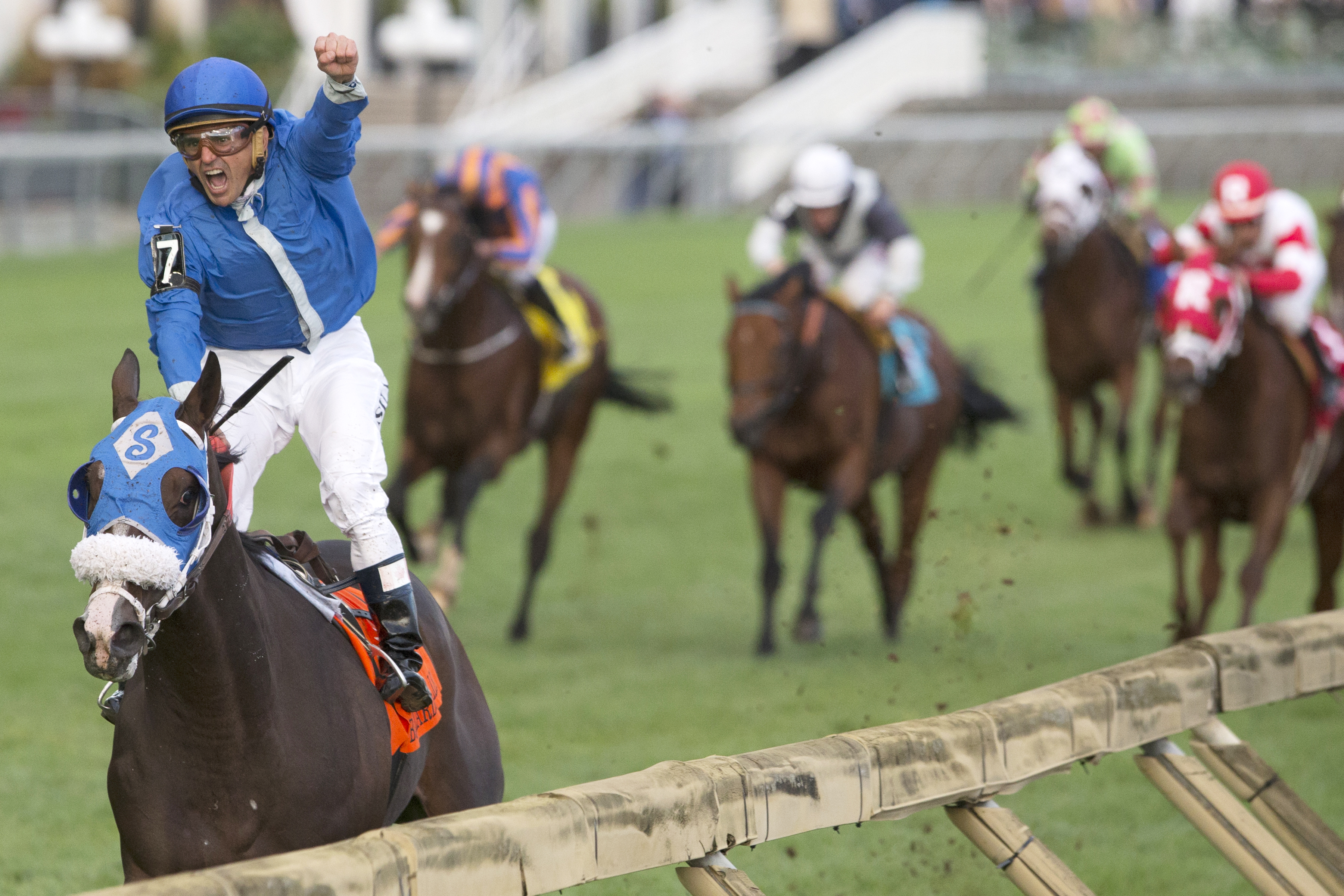Bullards Alley wins the 2017 Canadian International