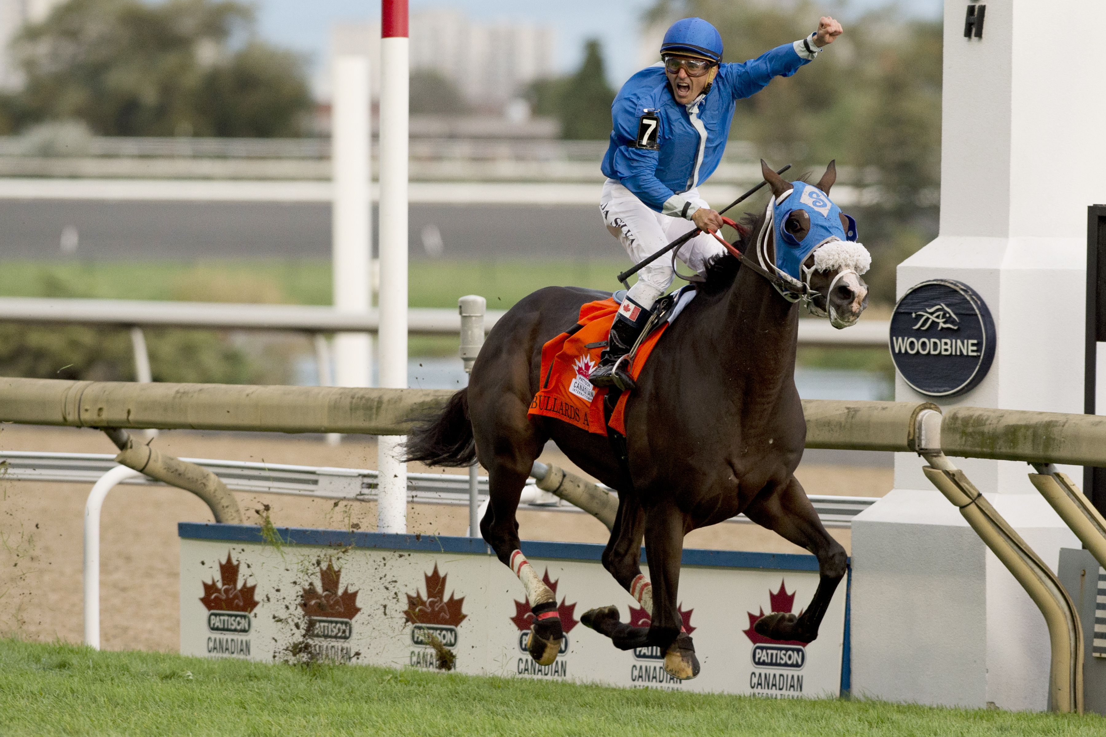 Bullards Alley wins the 2017 Canadian International
