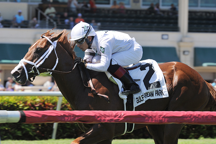 Bulletin wins the 2018 Hollywood Beach Stakes