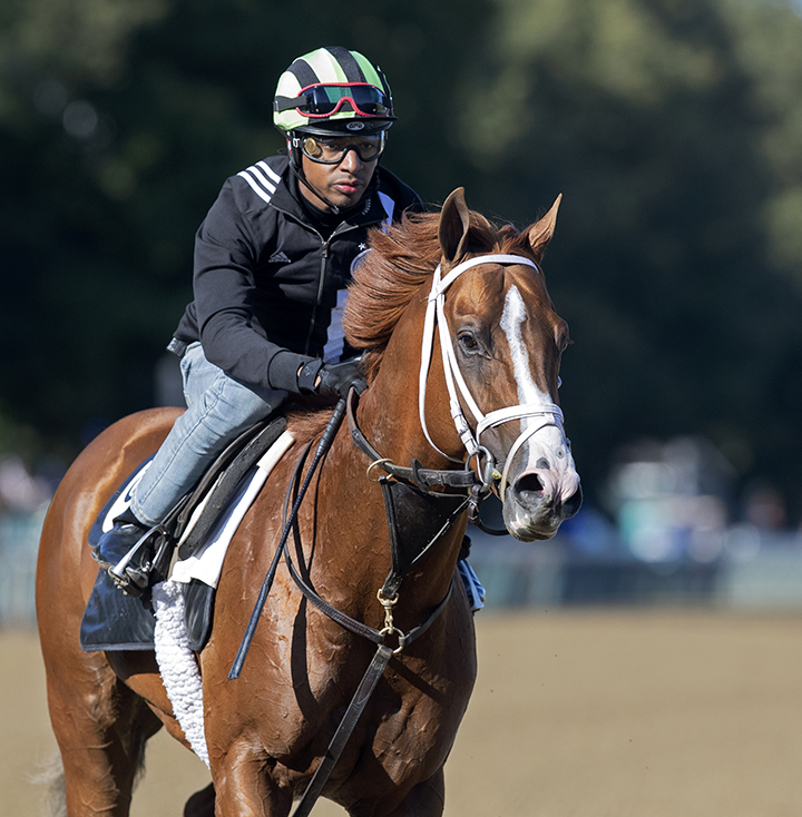 Bulletin at Saratoga Race Course on Aug. 11