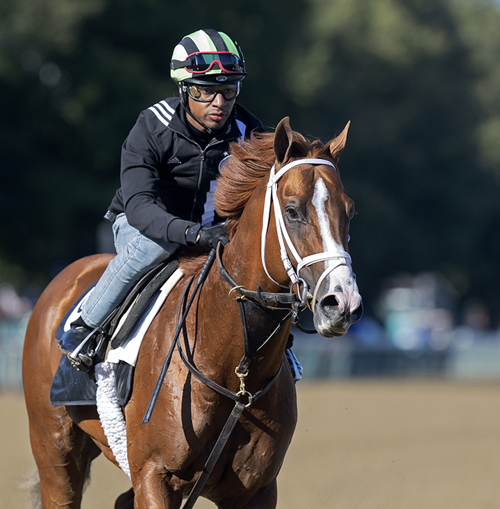 Bulletin at Saratoga Race Course on Aug. 11