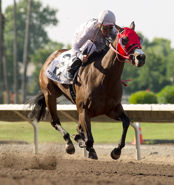 Bulletproof One wins the 2019 Everett Nevin Stakes at Pleasanton