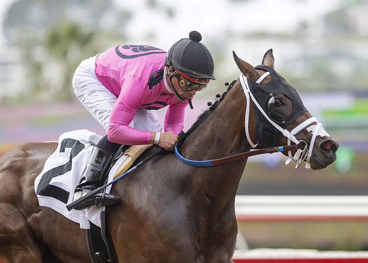 Bulletproof One wins the 2019 CTBA Stakes at Del Mar