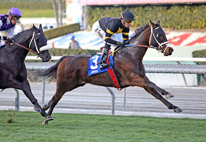 Bulletproof One finishes second in the 2020 California Cup Oaks at Santa Anita