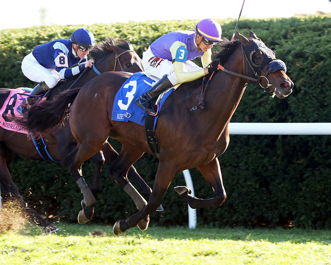Bundibunan wins an October 2019 allowance race at Keeneland