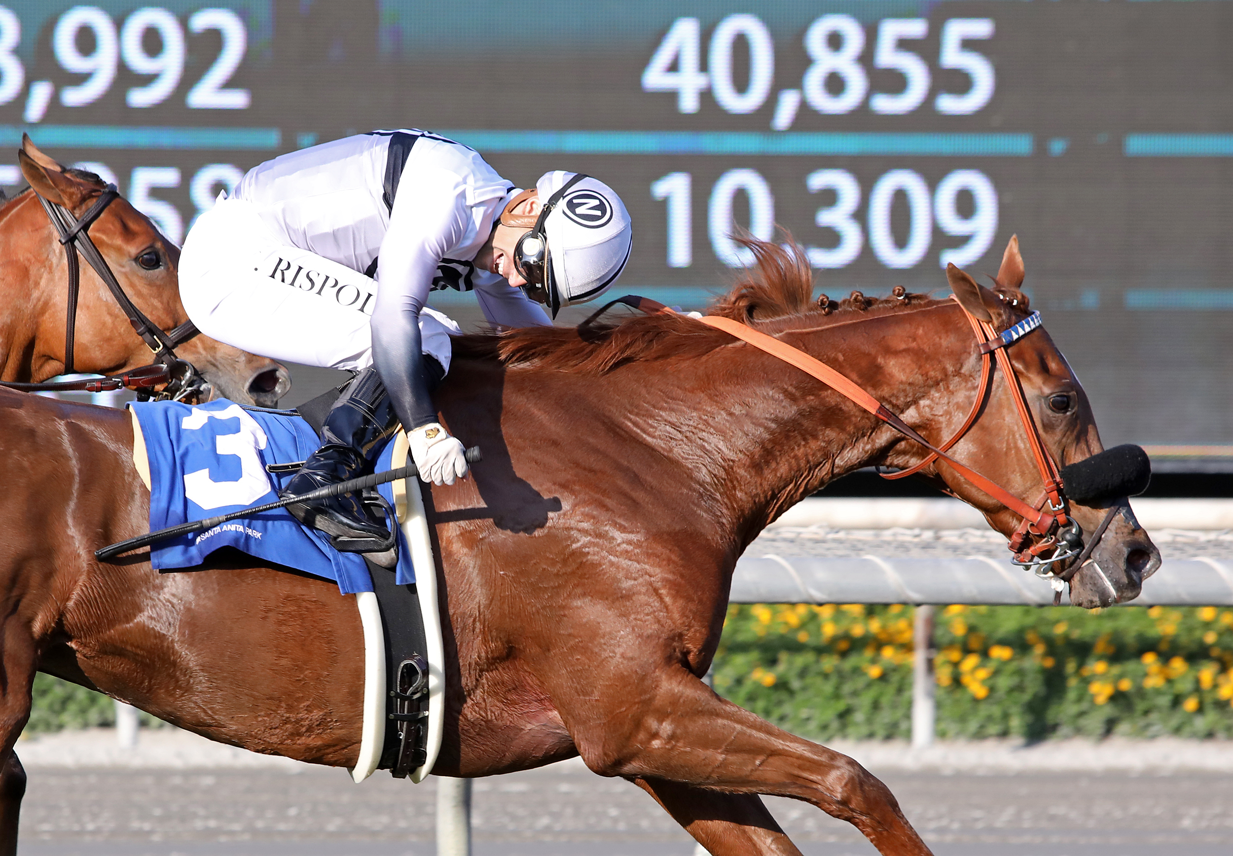 Burgoo Alley wins Autumn Miss 10-30-2021
