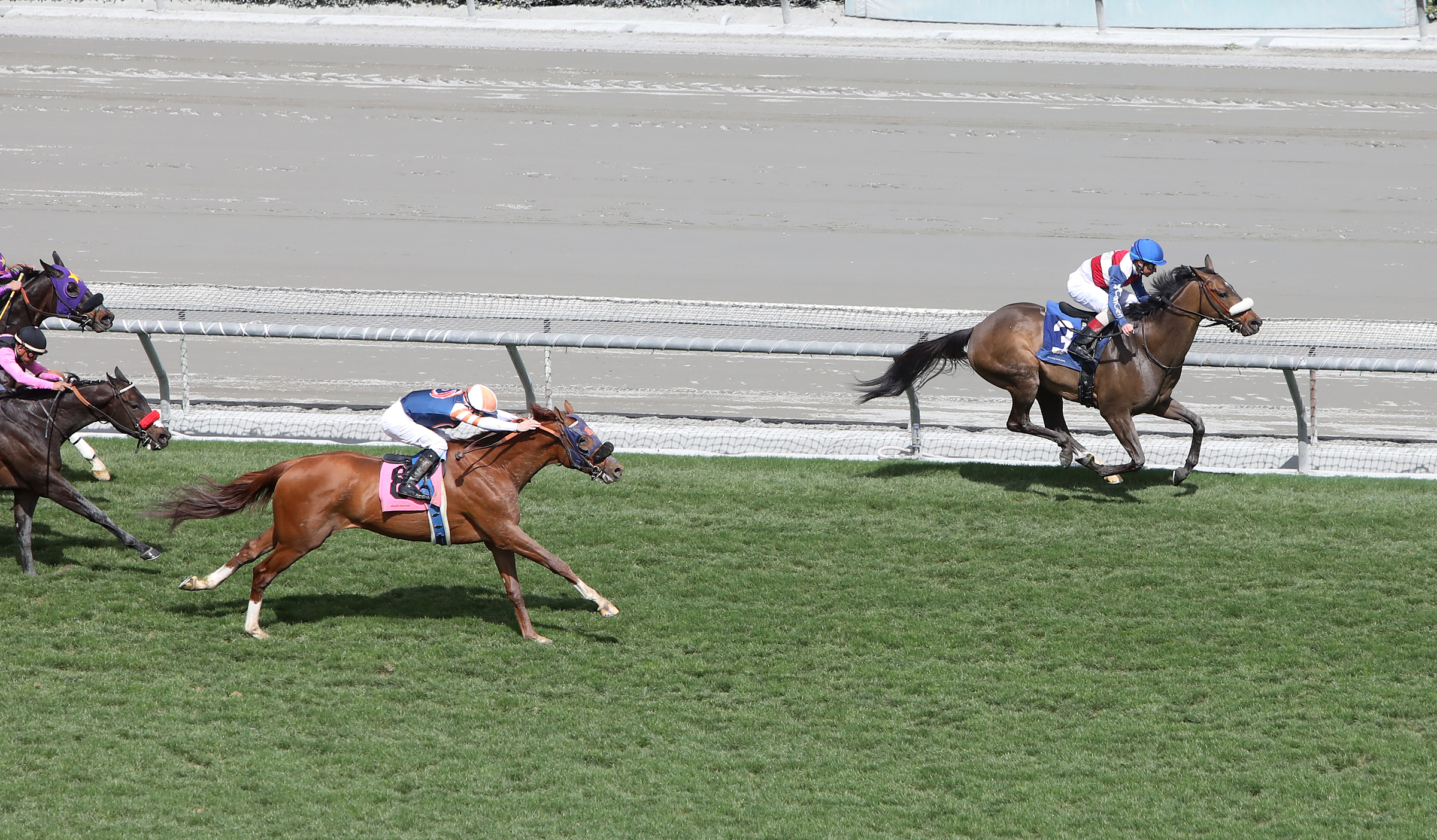 Burning Turf, March 5, 2022, allowance win at Santa Anita