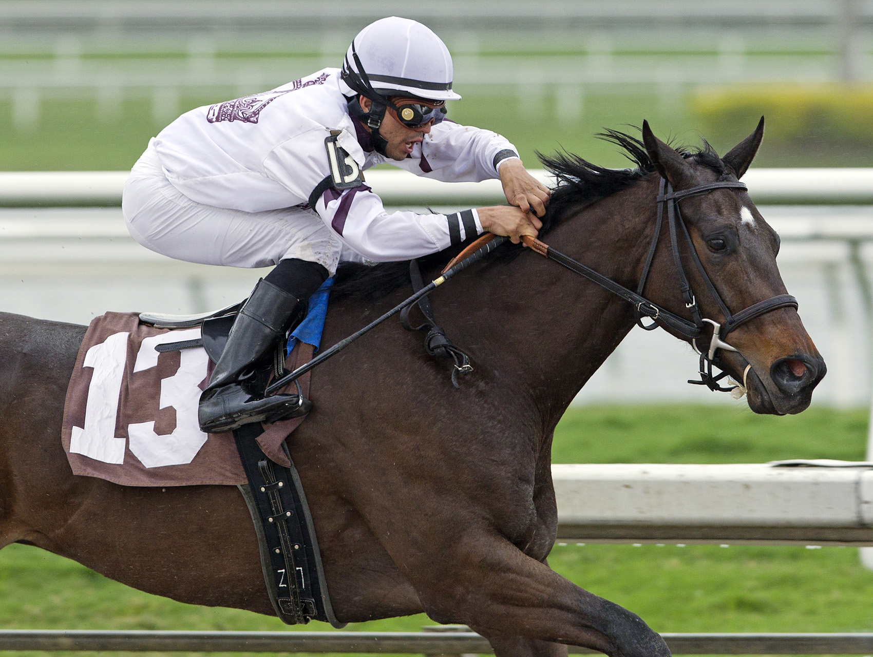 Busted Again maiden win