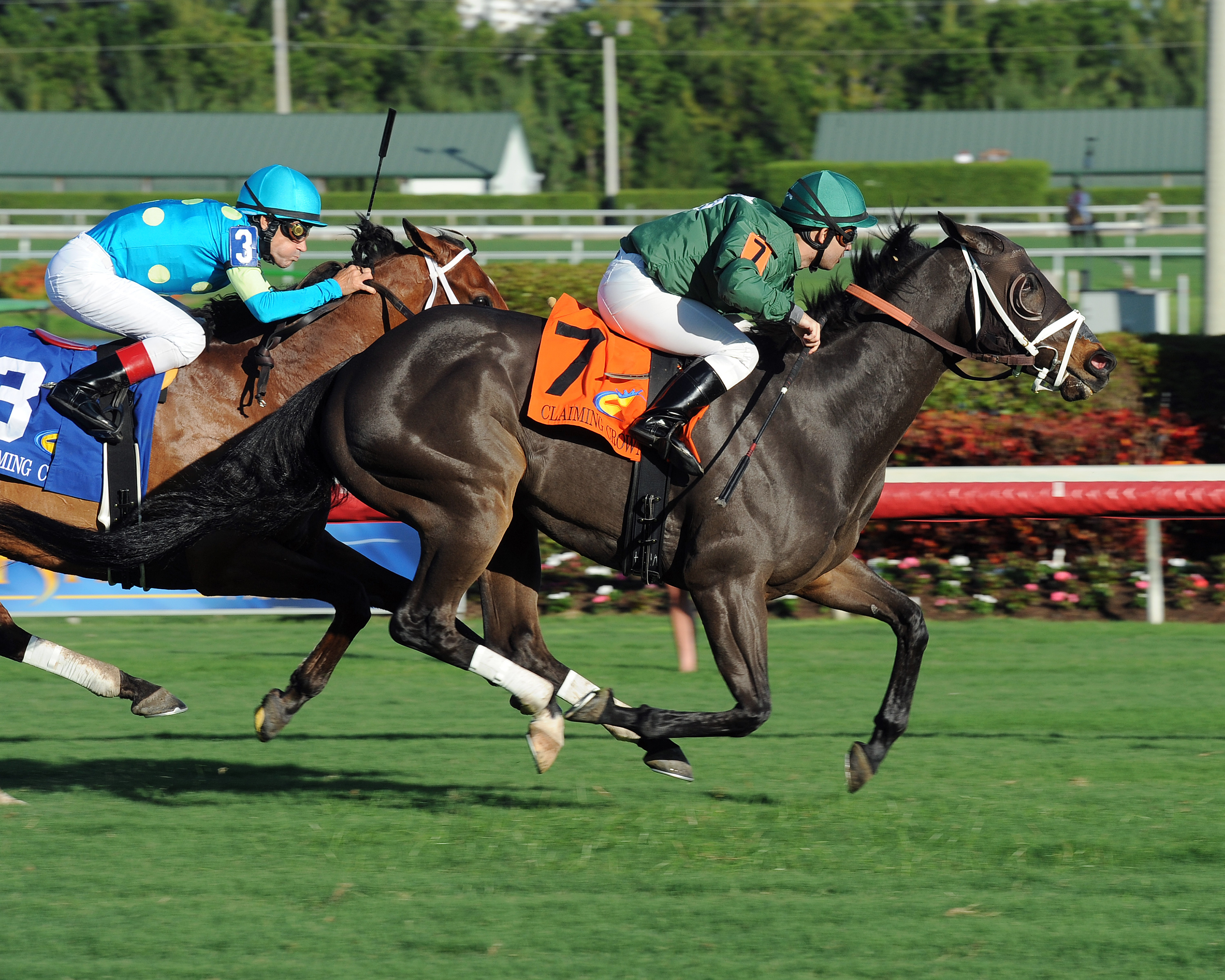 Buster Rose wins the Canterbury