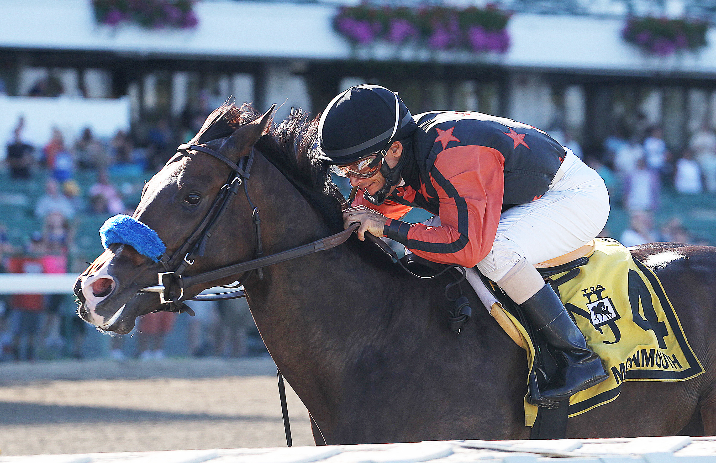 Bustin Out wins the 2016 Eleven North Handicap