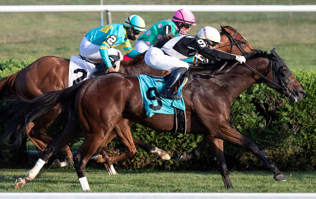 Bustin Shout (9) finishes fourth in an Aug. 15 allowance optional claimer at Saratoga