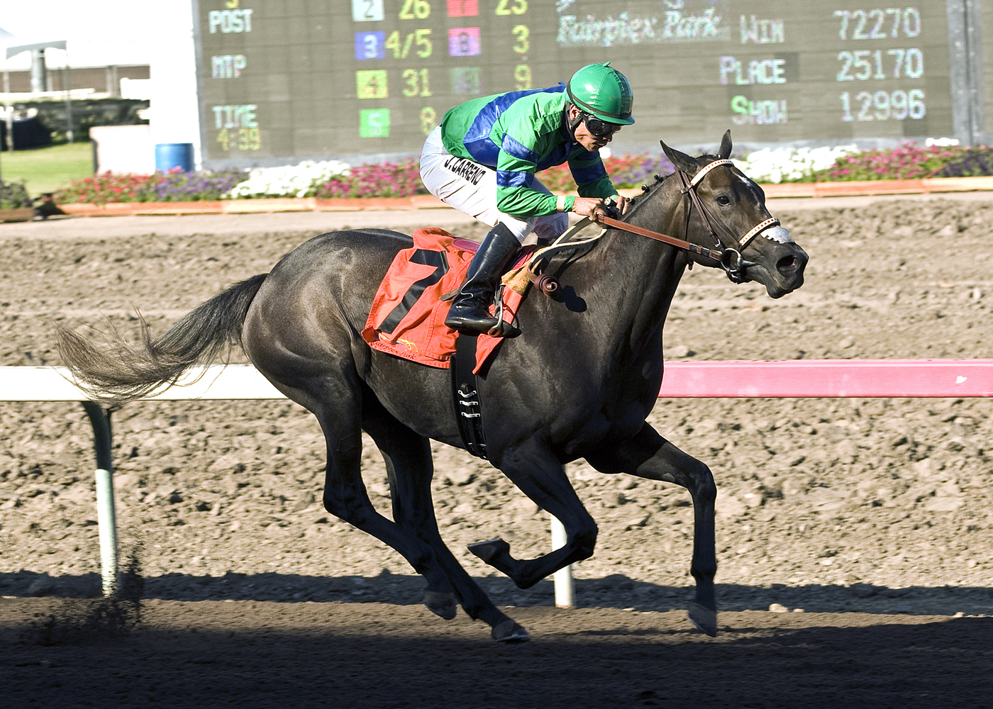 Butterfly Soul, Phil Shepherd Stakes