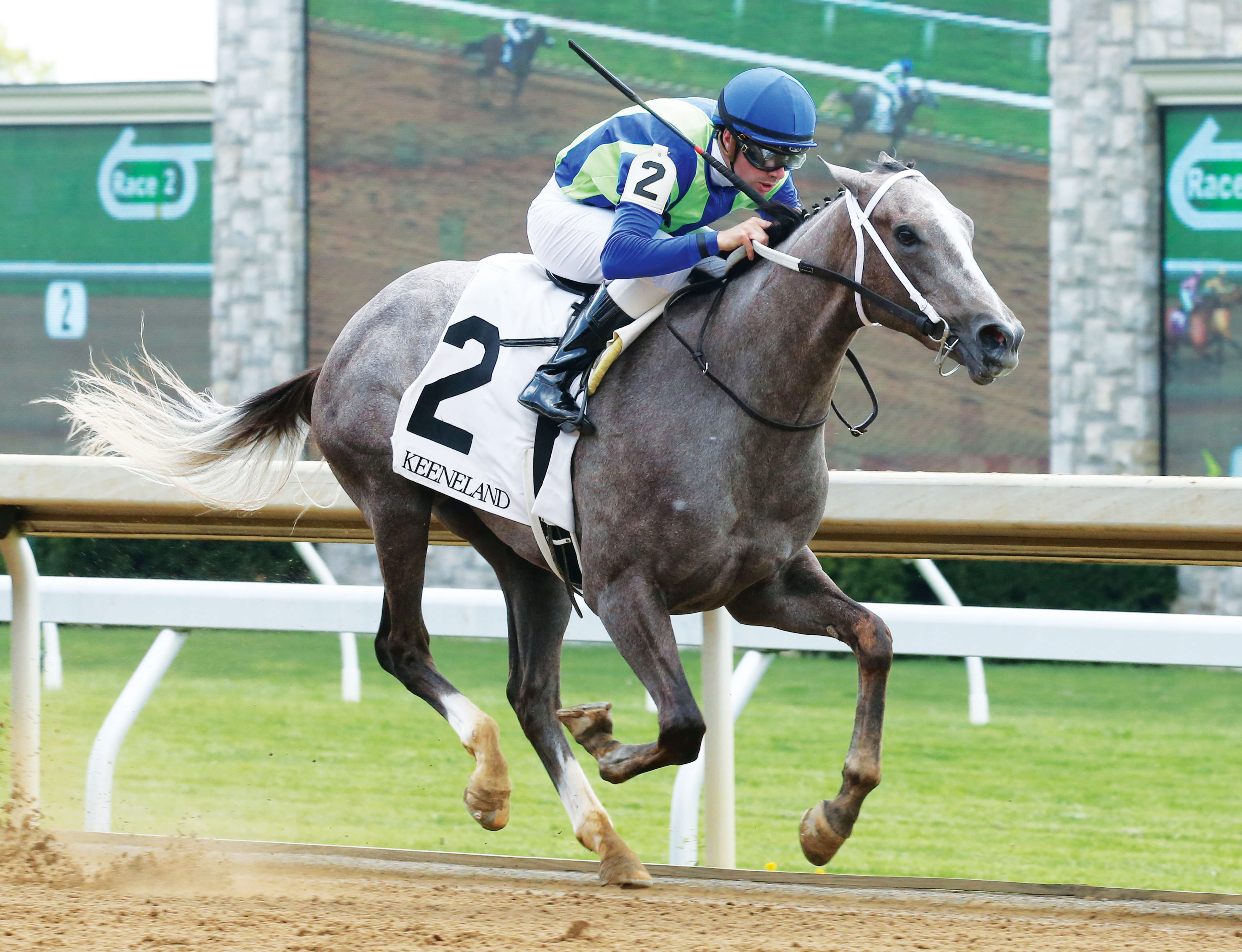Buy Sell Hold wins a maiden race on April 20