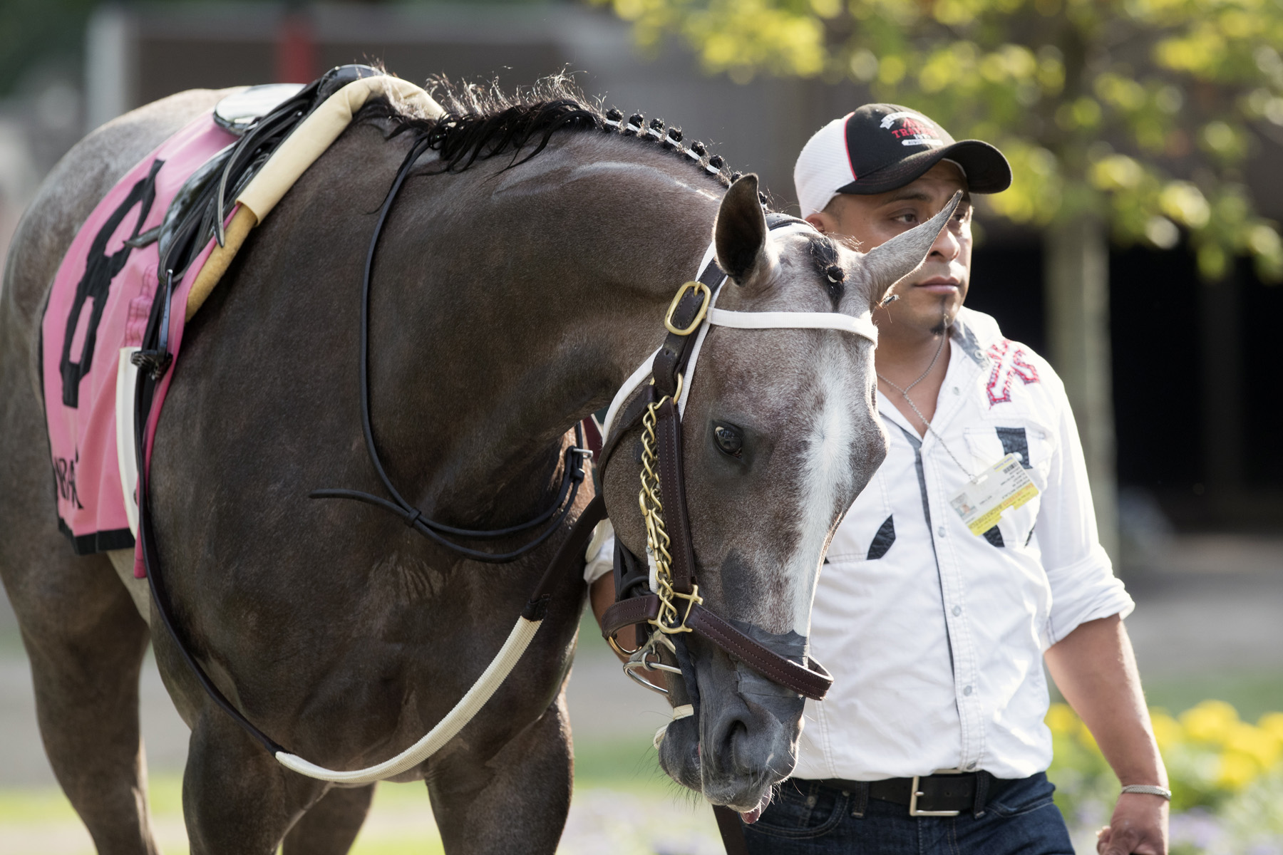 Buy Sell Hold at Saratoga in August 2017