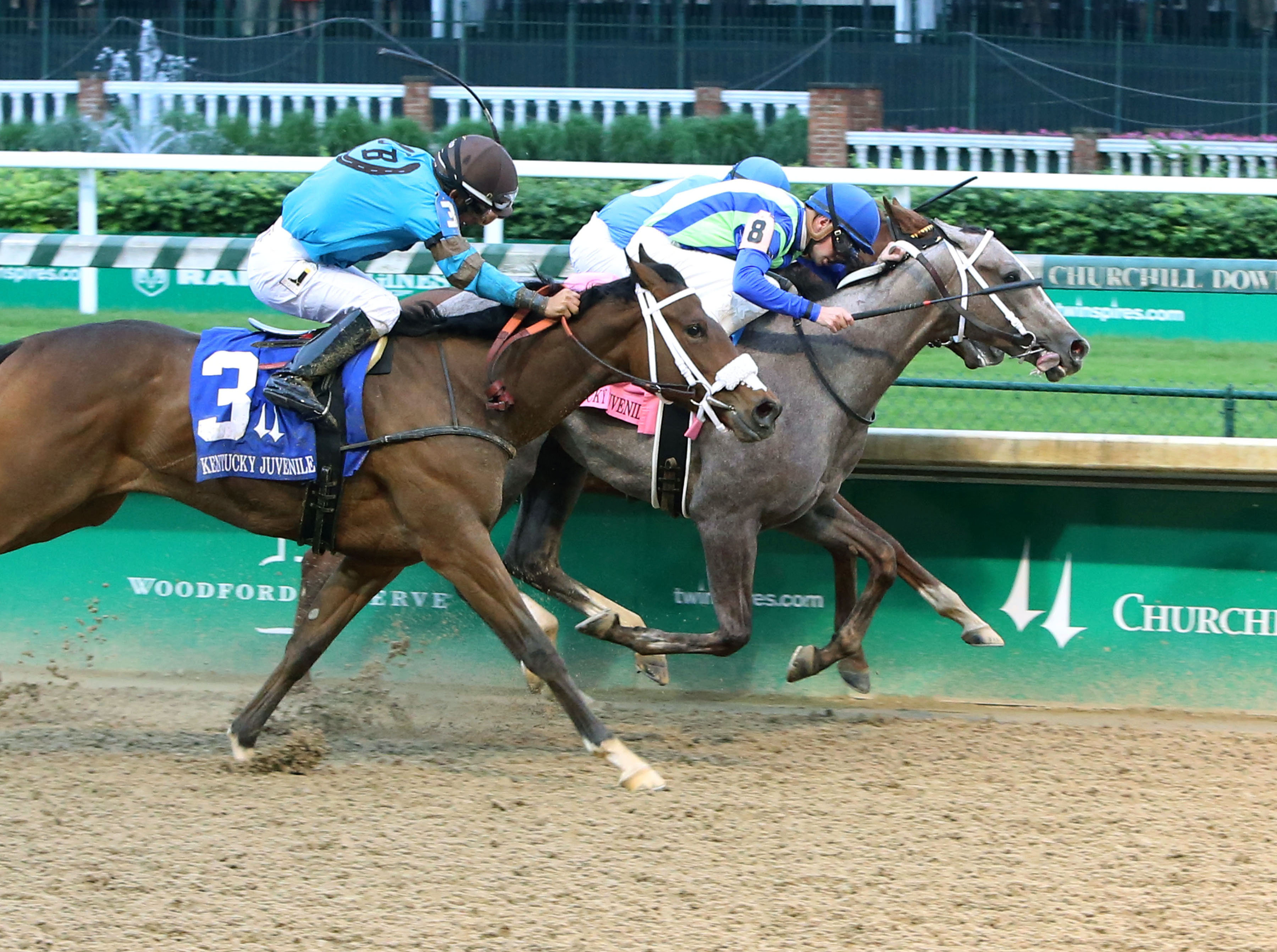 Amberspatriot finishes second in the Kentucky Juvenile Stakes
