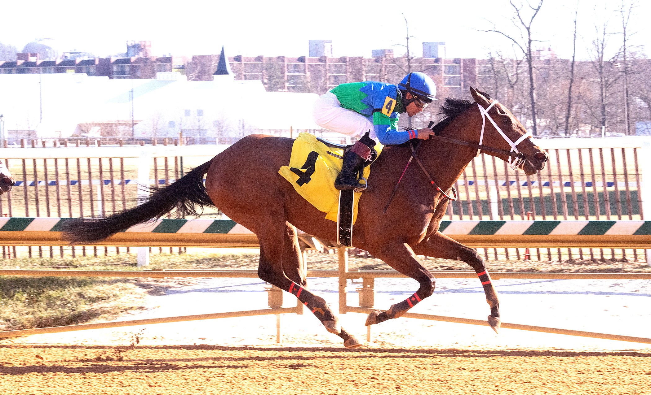 Buy the Best wins Gin Talking Stakes 12-26-2021