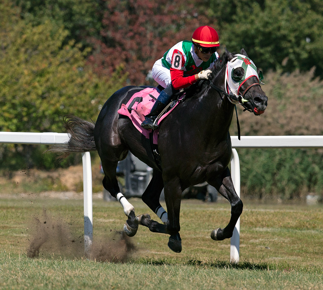 Buy Land and See wins a Sept. 21 maiden race at Parx