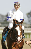 Jose Valdivia Jr.
