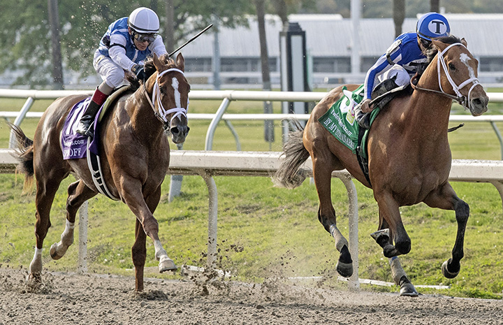 Spinoff finishes second in the Louisiana Derby