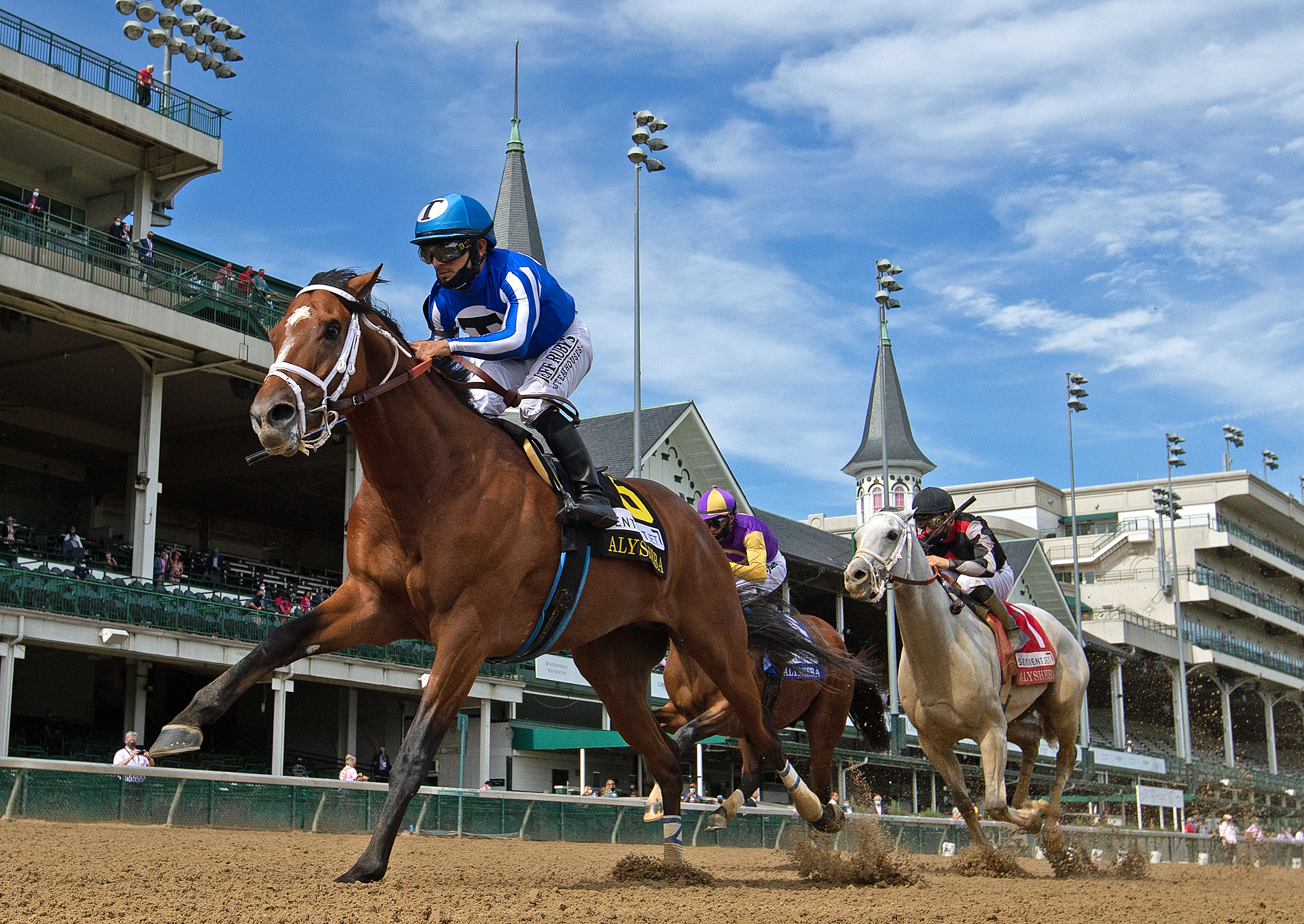 By My Standards/Alysheba