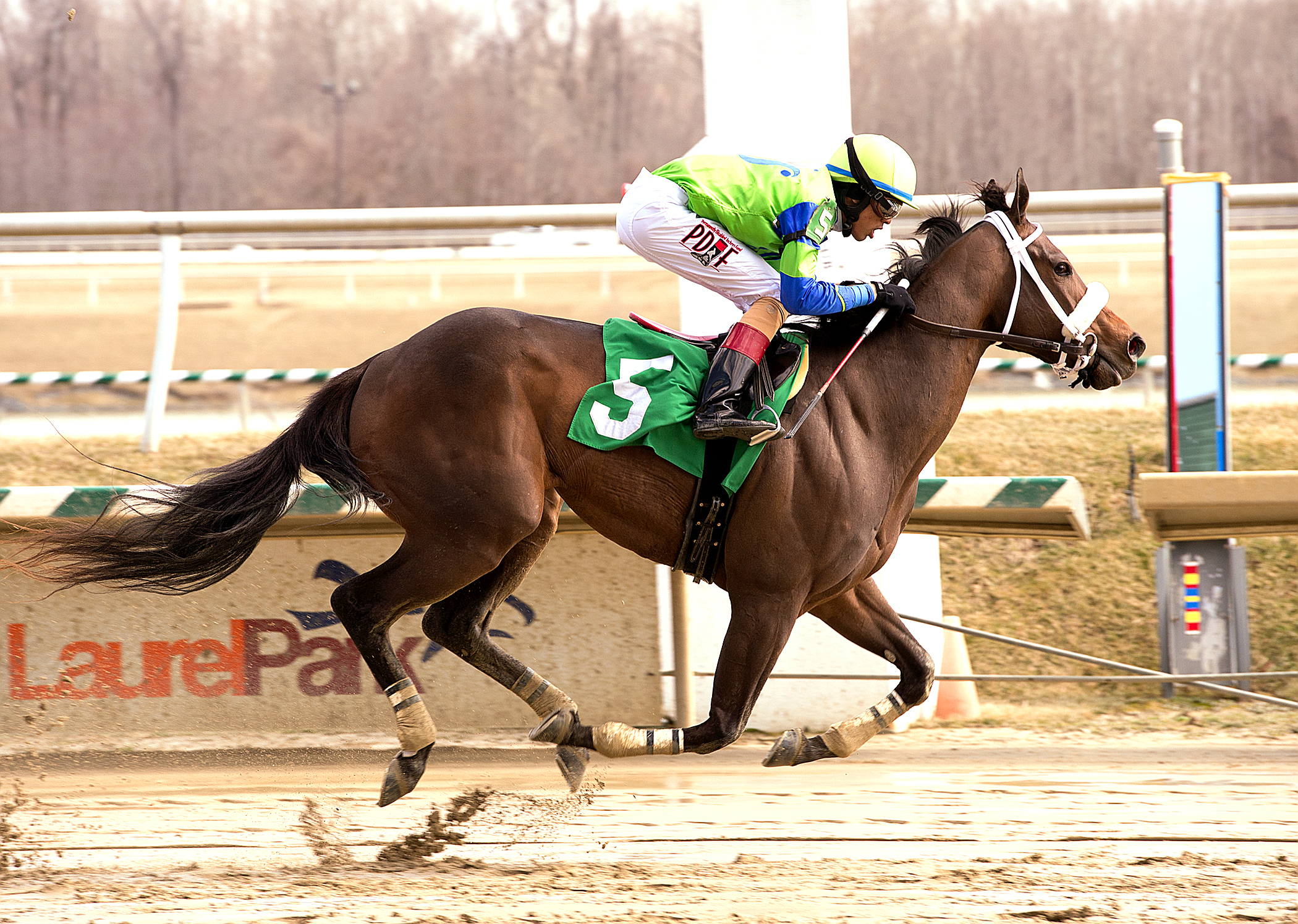 By the Moon wins the 2015 Caesar's Wish Stakes
